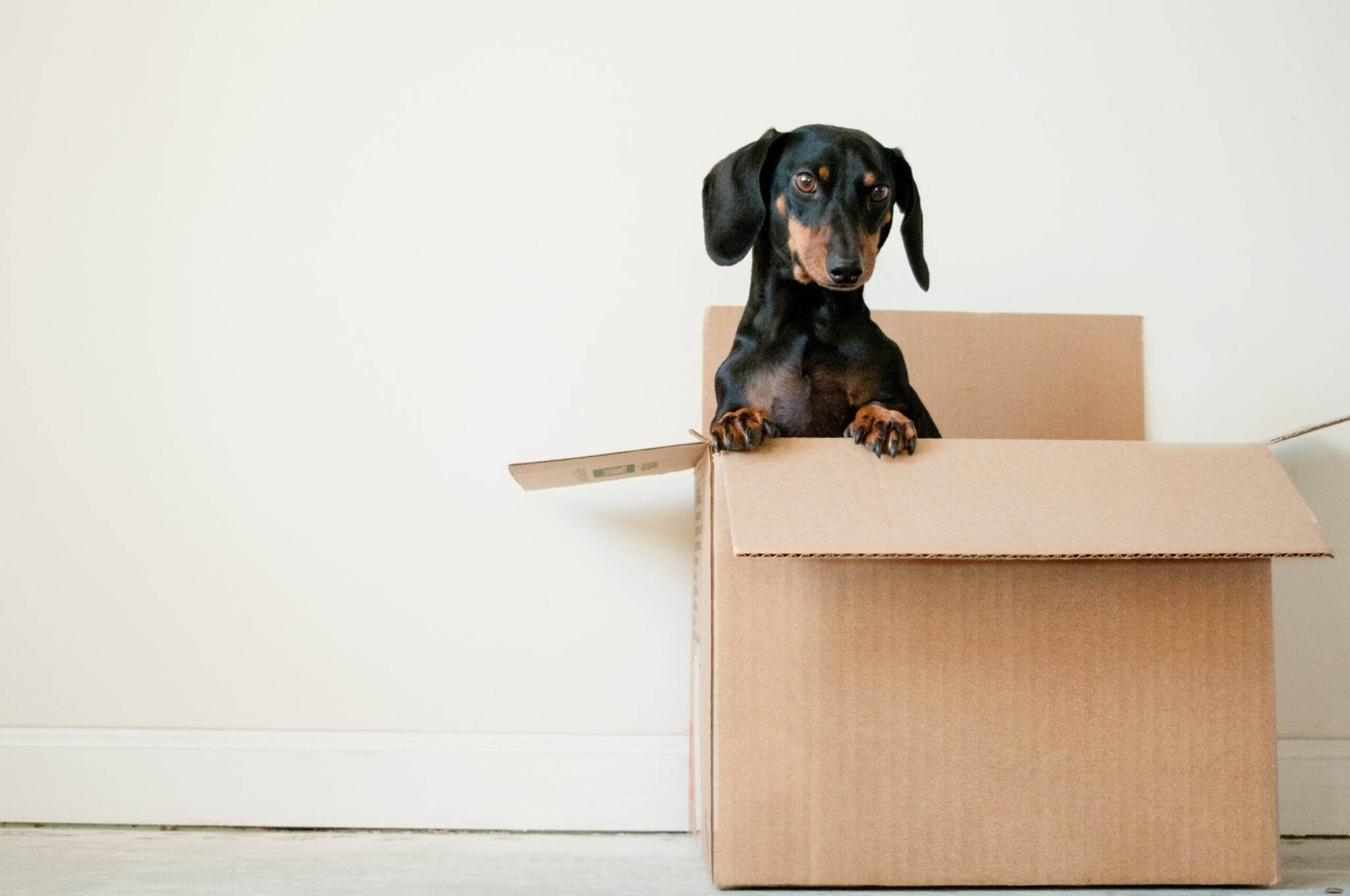 Moving Made Easy With These 24 Tips