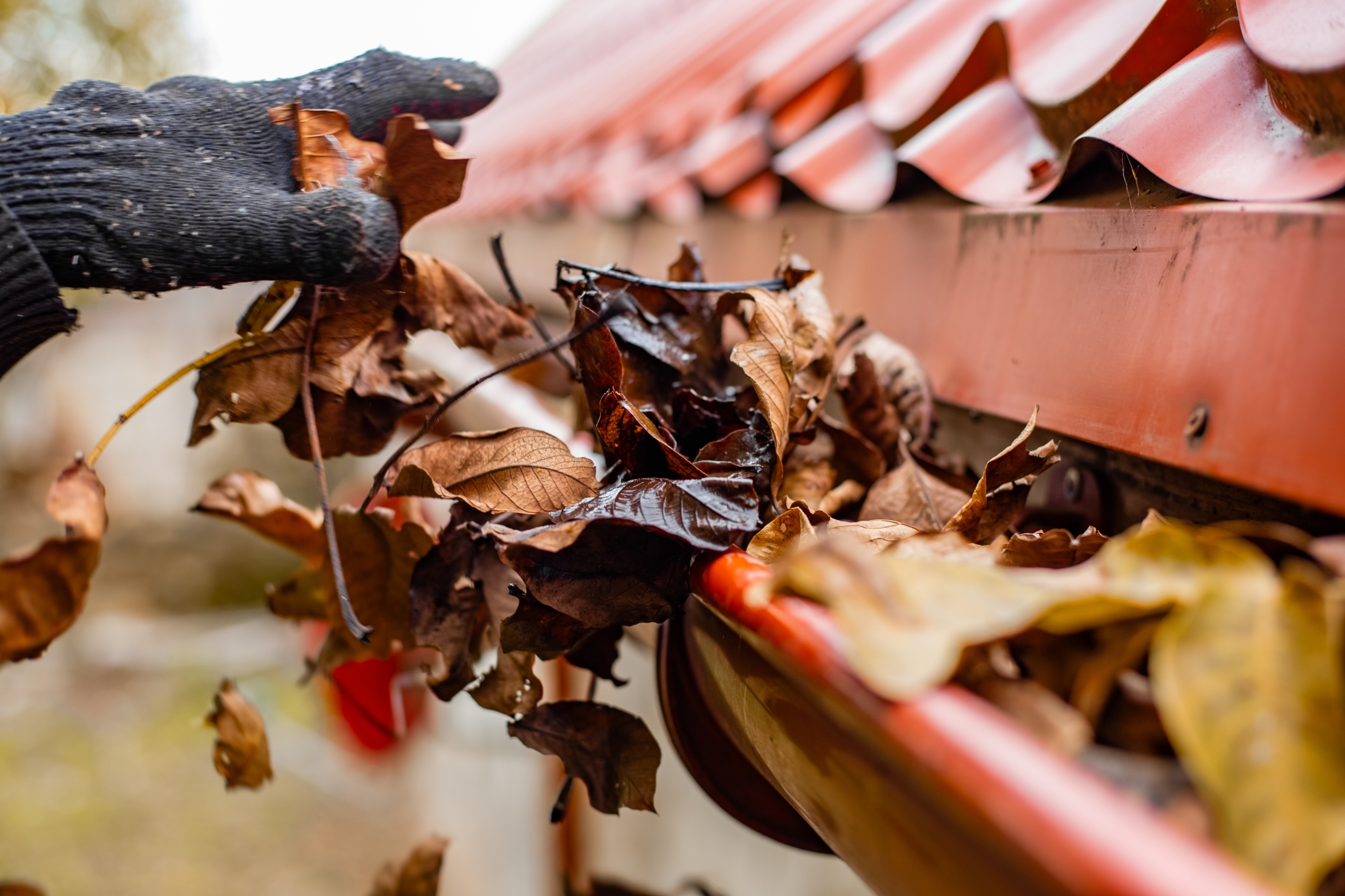 Fall Home Maintenance: 10 Tasks to Prepare for Winter